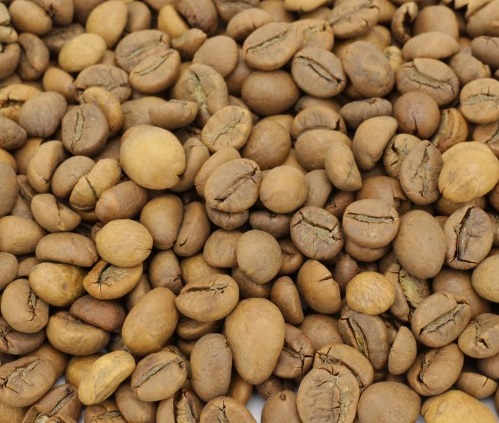 قهوه هند robusta