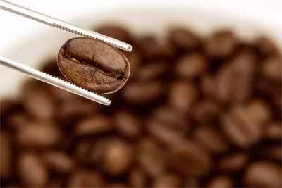 انواع قهوه اسپشیالتی
