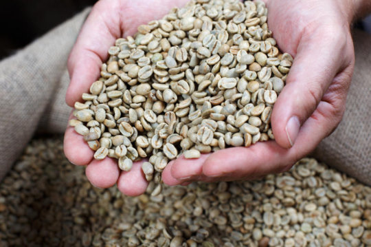 واردات قهوه عربیکا