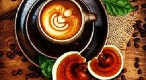 قهوه قارچ گانودرما