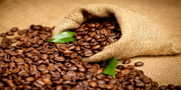 قیمت انواع قهوه عربیکا اتیوپی