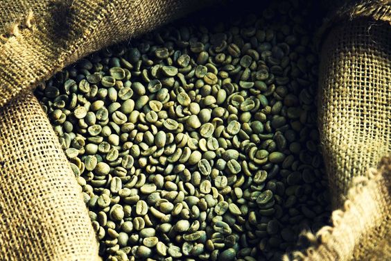 واردات دانه قهوه سبز عربیکا چین